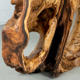 KODA - Suar Root Wood Console Table